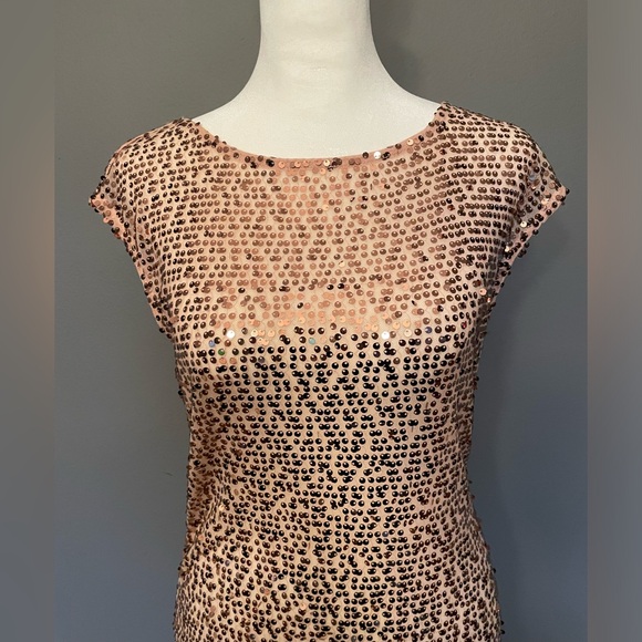 LIMITED Pink Sequin Sheer Sleeveless Blouse / Tunic - Size Small - Picture 9 of 16